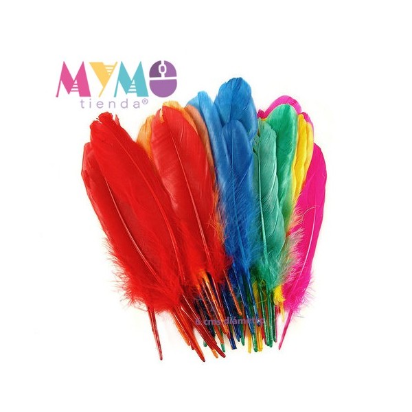 https://www.mymo.cl/1243-large_default/set-24-plumas-variedad-de-colores.jpg
